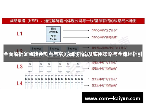 全面解析冬窗转会热点与常见疑问指南及实用策略与全流程指引