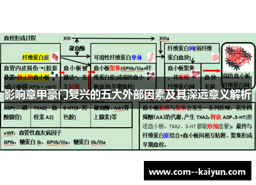 影响意甲豪门复兴的五大外部因素及其深远意义解析 影响意甲豪门复兴的五大外部因素及其深远意义解析