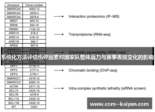 系统化方法评估伤停因素对国家队整体战力与赛事表现变化的影响 系统化方法评估伤停因素对国家队整体战力与赛事表现变化的影响